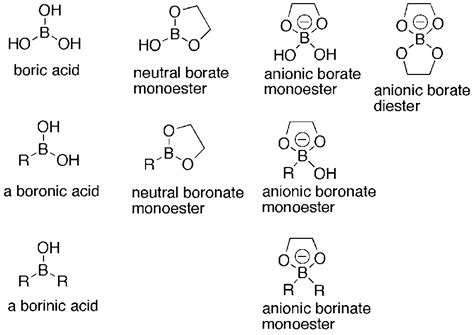 Boronic Acids & Derivatives